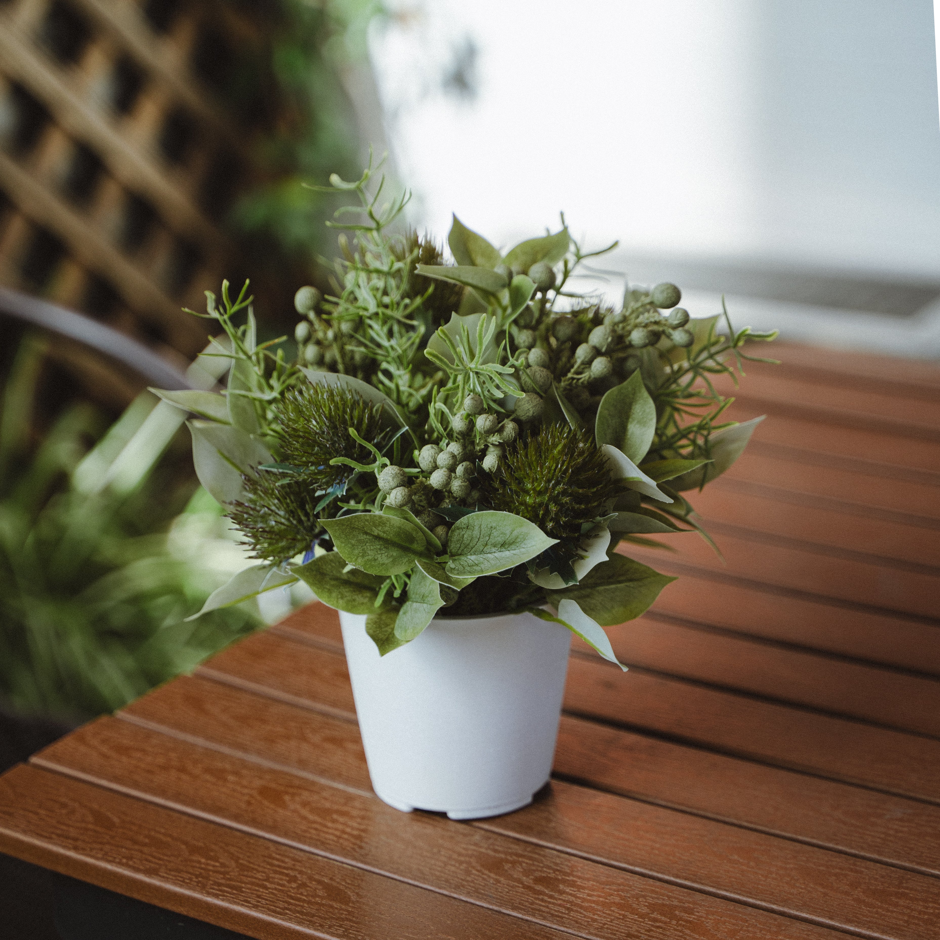 Artificial Eryngium and Bruniaberry in Plastic Pot with Cochinchinese Asparagus – Real Touch Indoor Tabletop Display
