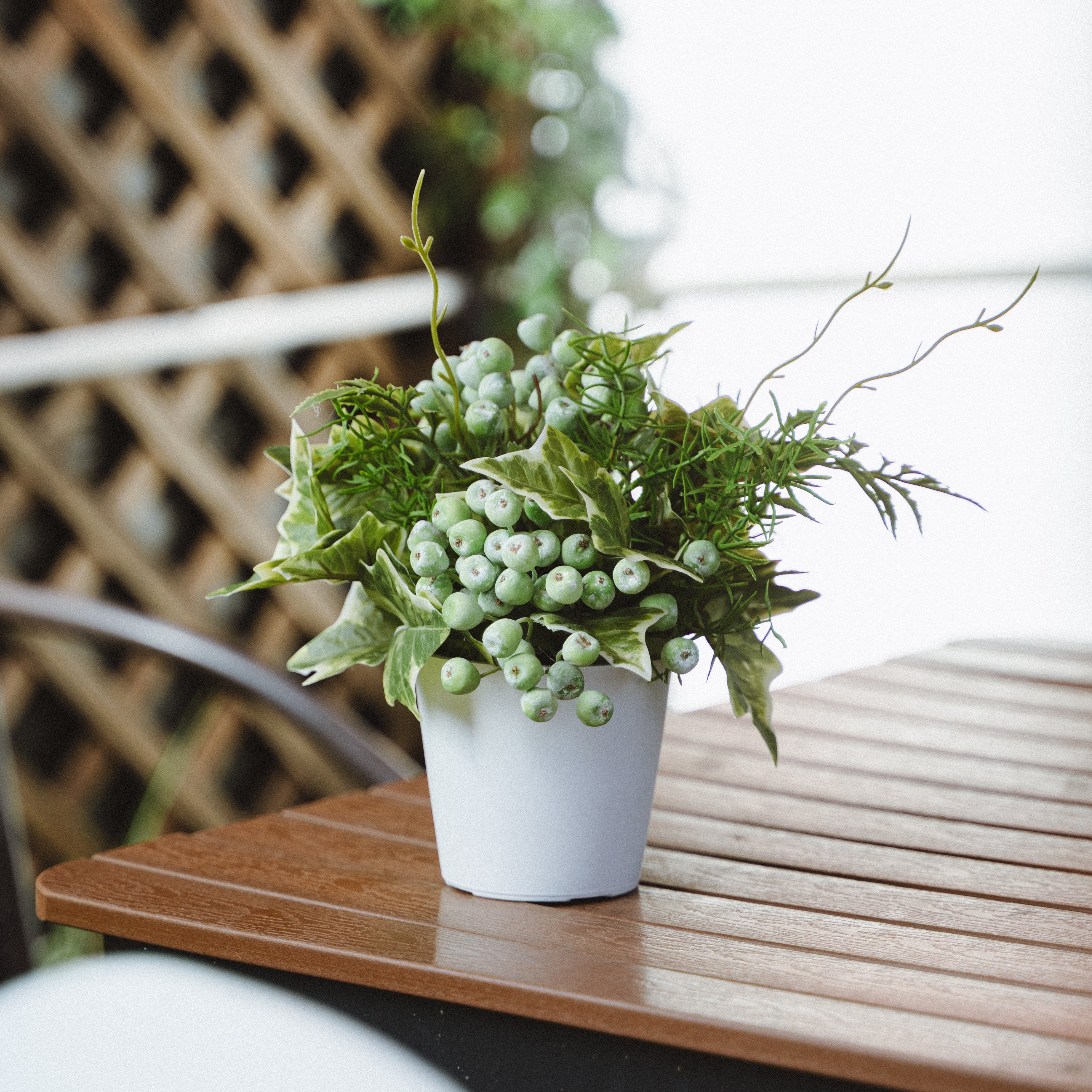 Artificial Wild Berries and Ferns in Plastic Pot with Cochinchinese Asparagus – Real Touch Indoor Tabletop Display