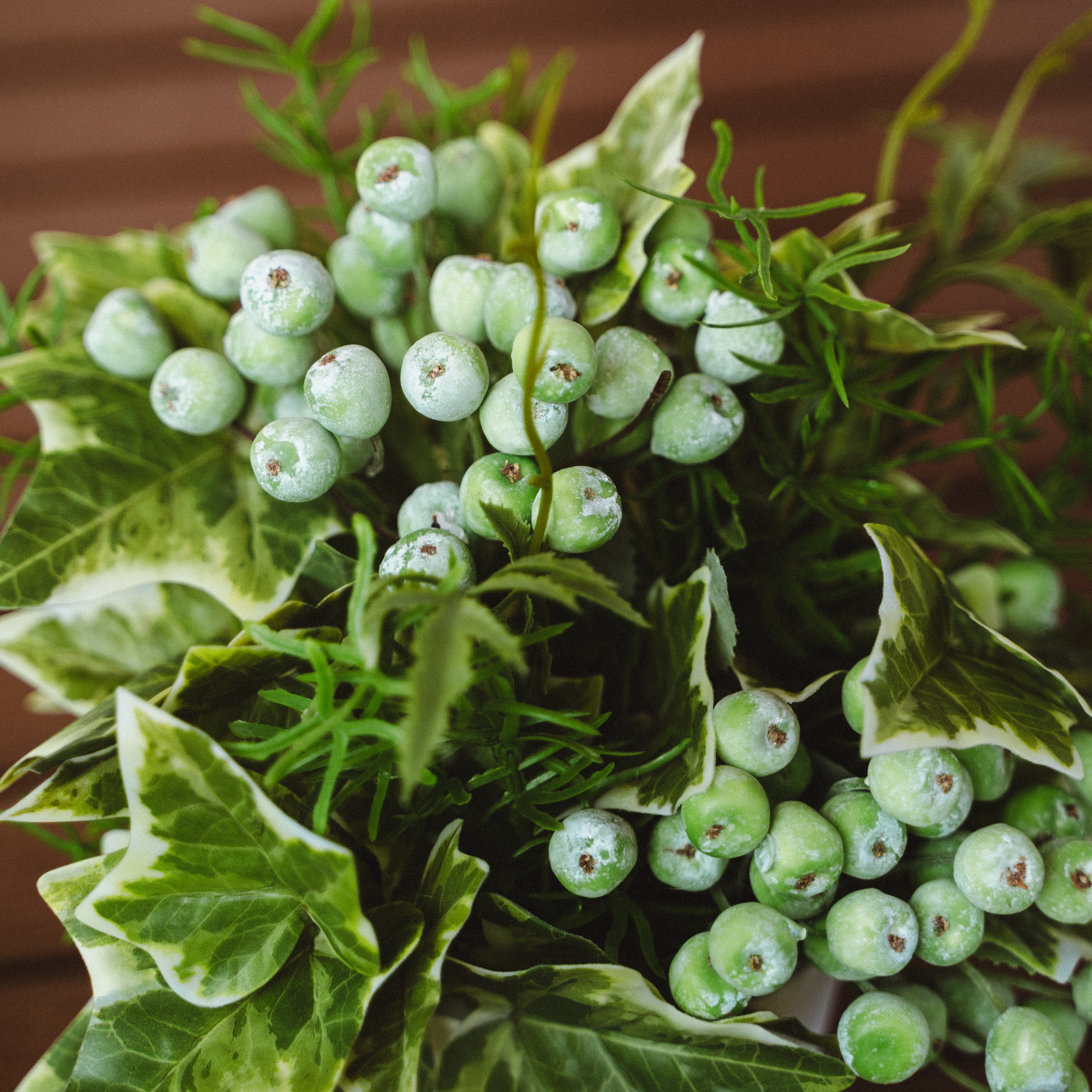 Artificial Wild Berries and Ferns in Plastic Pot with Cochinchinese Asparagus – Real Touch Indoor Tabletop Display