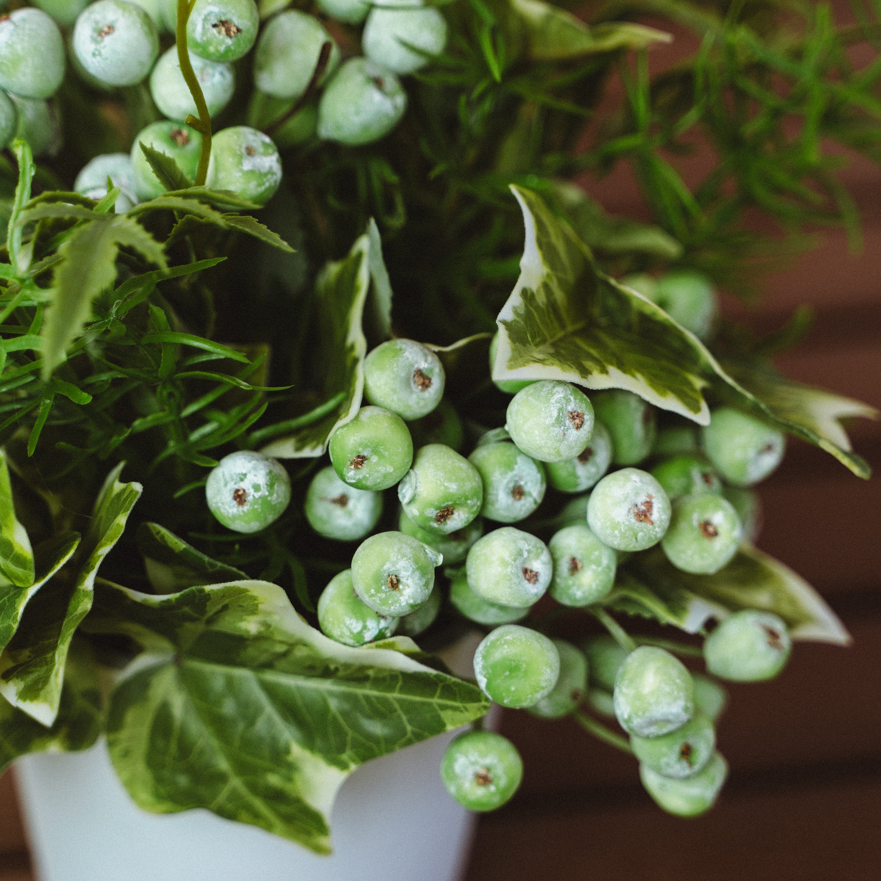 Artificial Wild Berries and Ferns in Plastic Pot with Cochinchinese Asparagus – Real Touch Indoor Tabletop Display