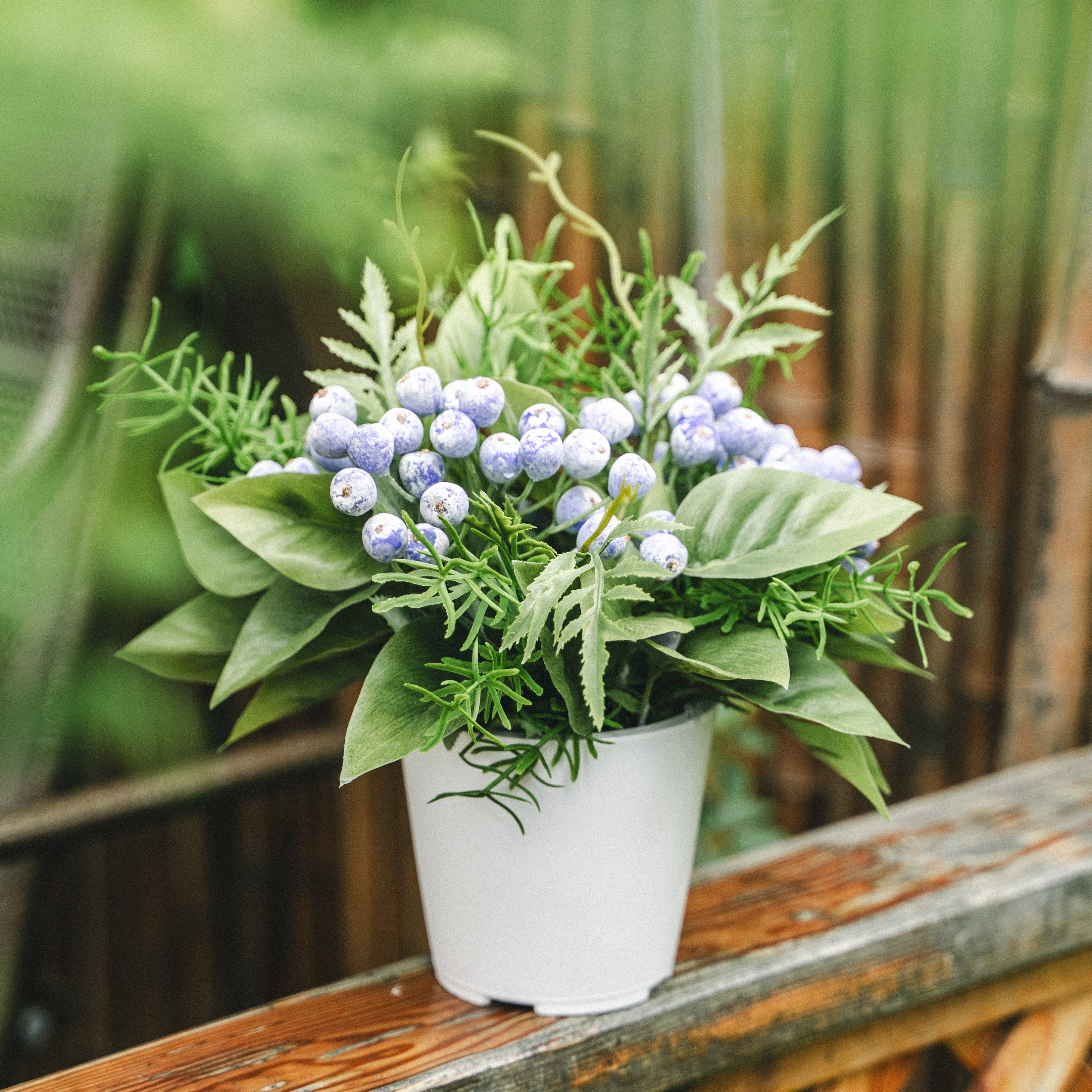 Artificial Wild Berries in Plastic Pot with Cochinchinese Asparagus – Real Touch Indoor Tabletop Display