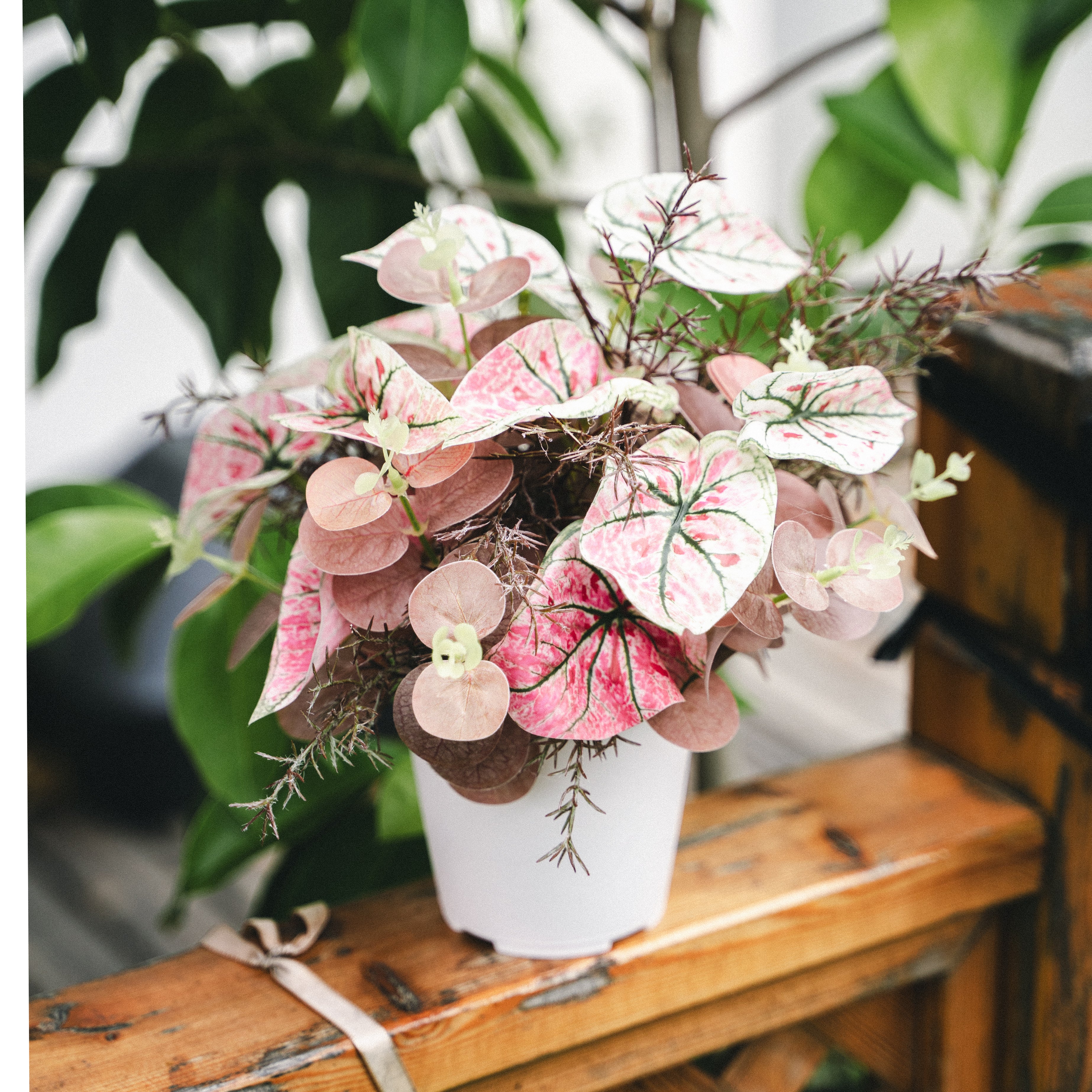 Artificial plants pot 05(Only for Influencers)